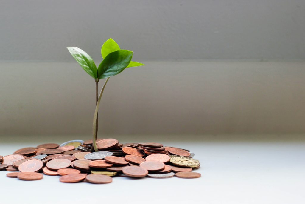 MoneyTree